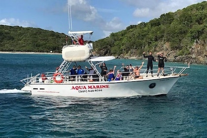 Private Half-Day Guided Snorkeling Charter in St. Thomas
