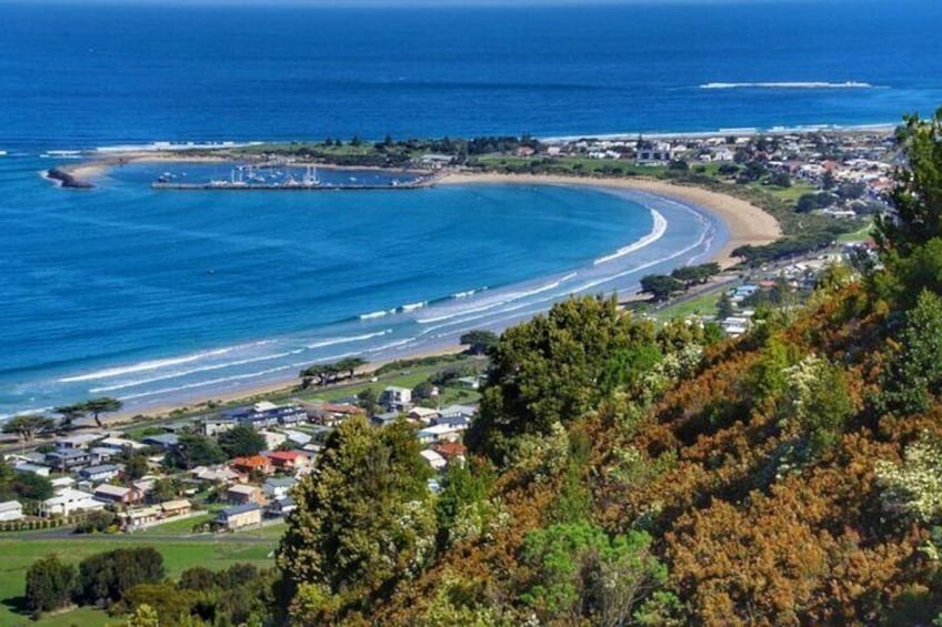 Great Ocean Road Private Car Tour from Melbourne. 1-6 guests.