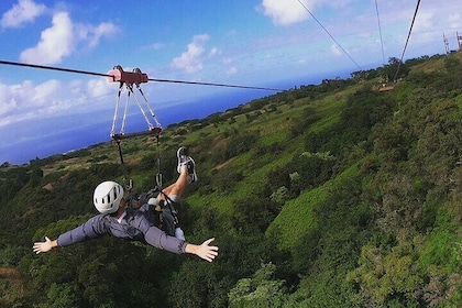 4 Dual-Zipline Mountain Adventure ~ Maui