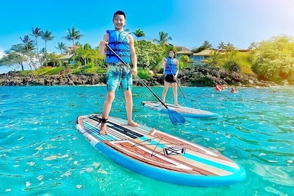 Private Stand Up Paddle Boarding Tour in Turtle Town, Maui