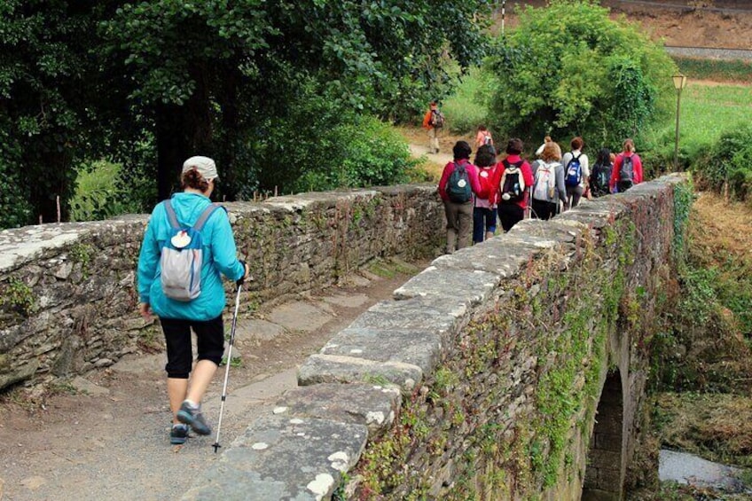 7-Day Tour of the French Way of Santiago from Sarria
