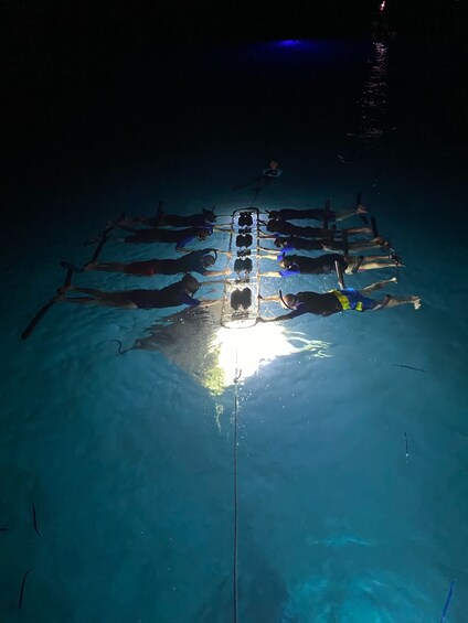 Late Night Manta Ray Snorkel