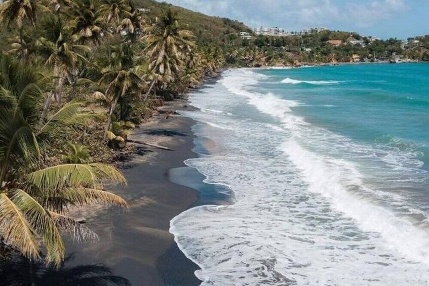 Black Sand Beach and El Yunque Natural Pool-See the Southeast