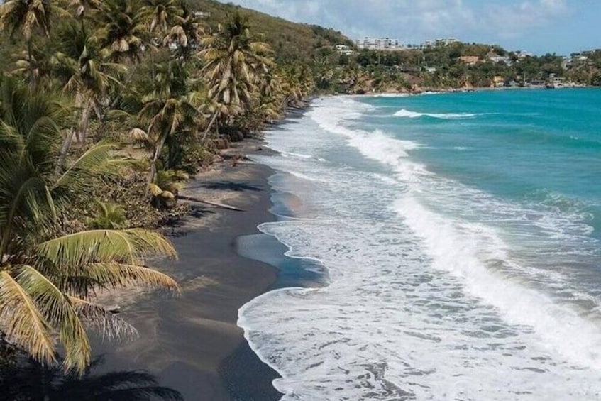 Black Sand Beach and El Yunque Natural Pool-See the Southeast