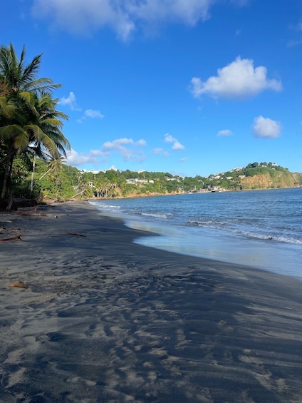 Black Sand Beach and El Yunque Natural Pool-See the Southeast