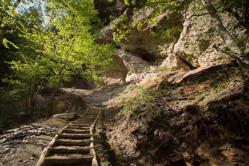 Great Smoky Mountains National Park Self-Guided Driving Tour