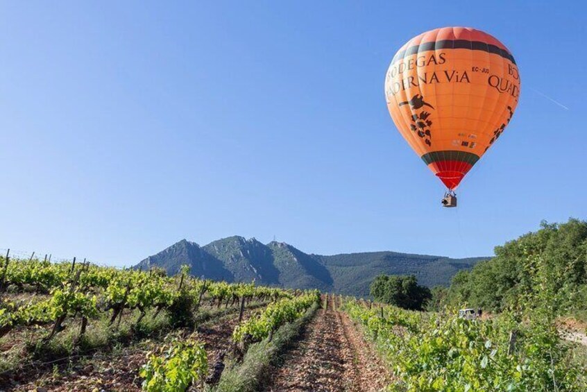 Visit to the Winery with Wine Tasting and Appetizers in Navarra