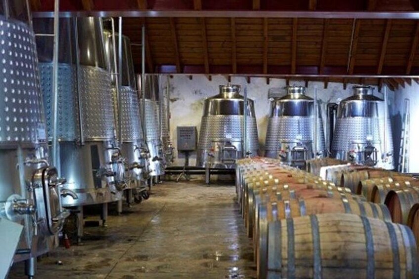Algarve wine tour of two wine estates and lunch at hystorical town of Silves