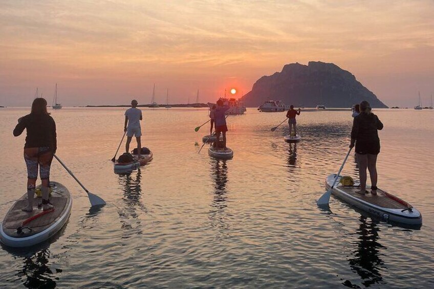 SUP at Sunrise