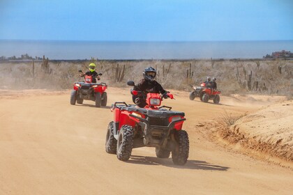 ATV, Camels and Tequila tasting in Cabo