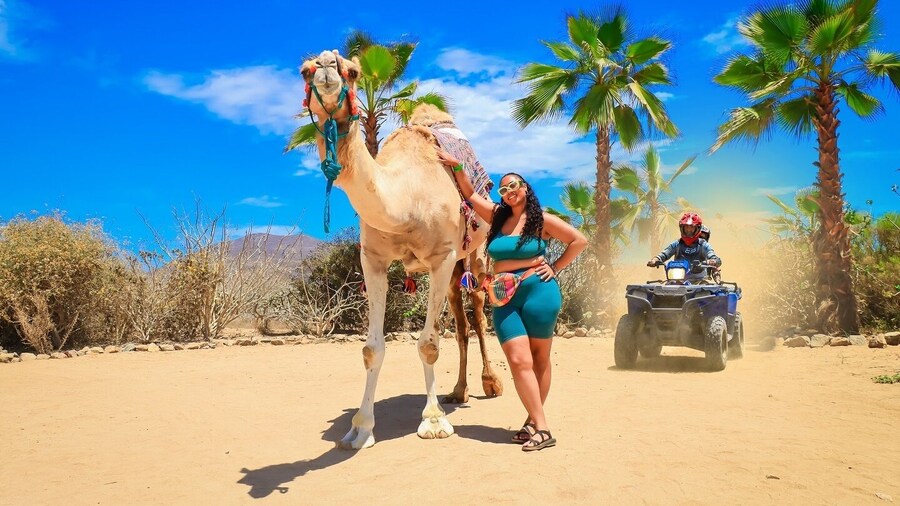 ATV, Camels and Tequila tasting in Cabo