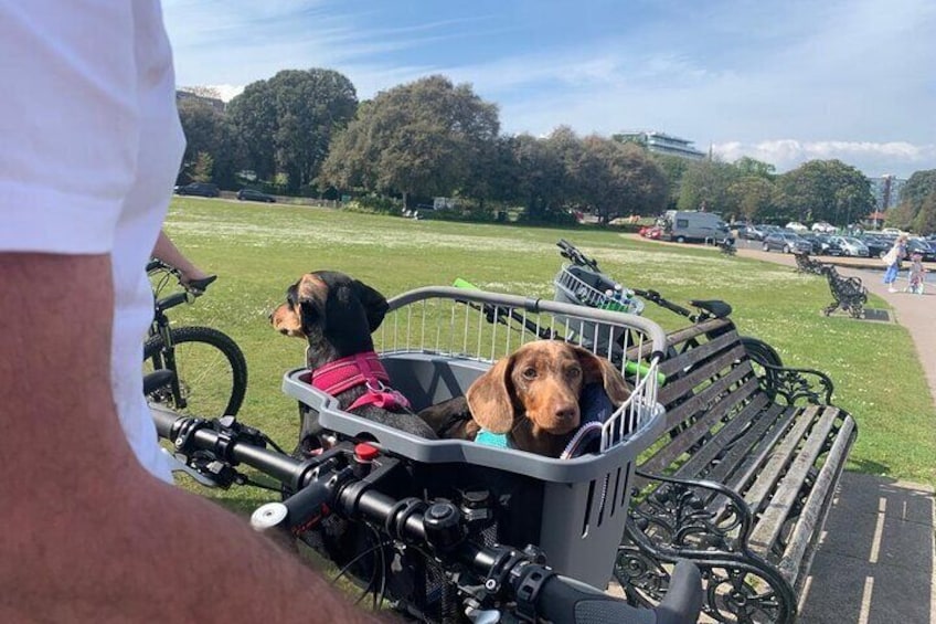 Guided E-Bike Day Trips Dorset