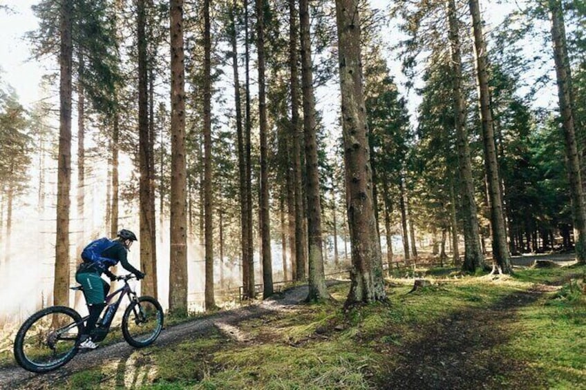 Guided E-Bike Tours in Dorset