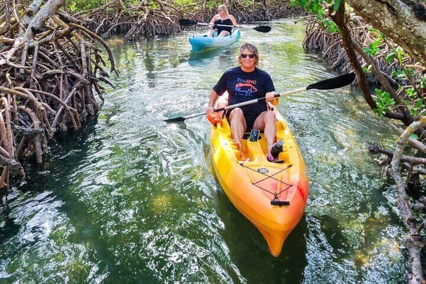 Wind your way through a natural mangrove tunnel. 