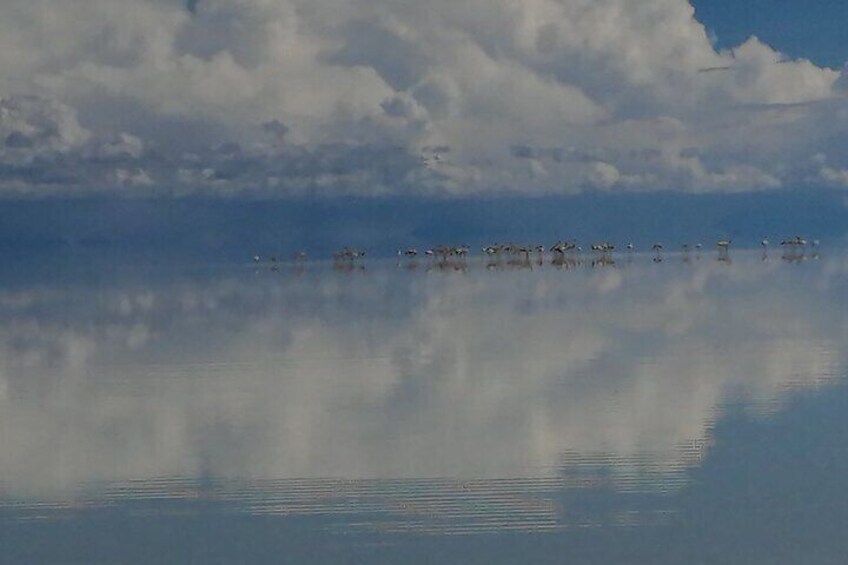 Full Day Private Uyuni Salt Flats Tour