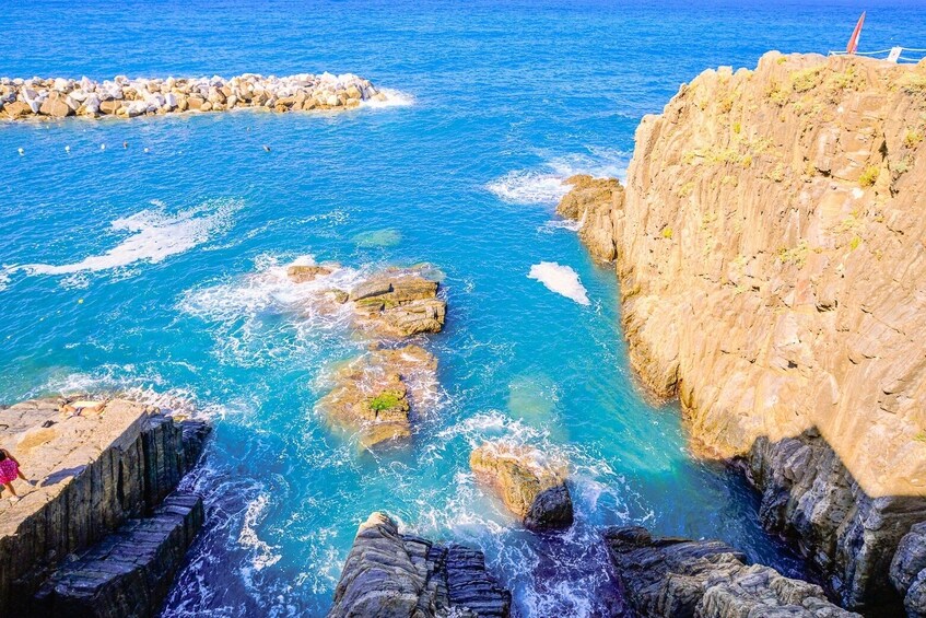 Cinque Terre small group tour: VIP experience from Florence