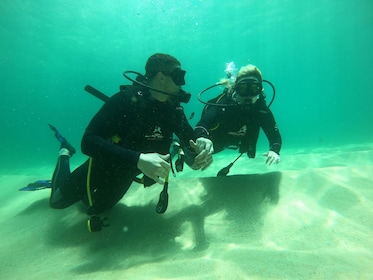 Los Cabos dykkeroplevelse for begyndere