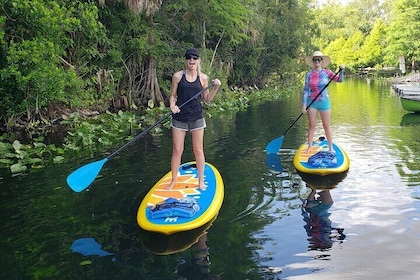 Stand-up Paddle Wekiwa Springs Adventure