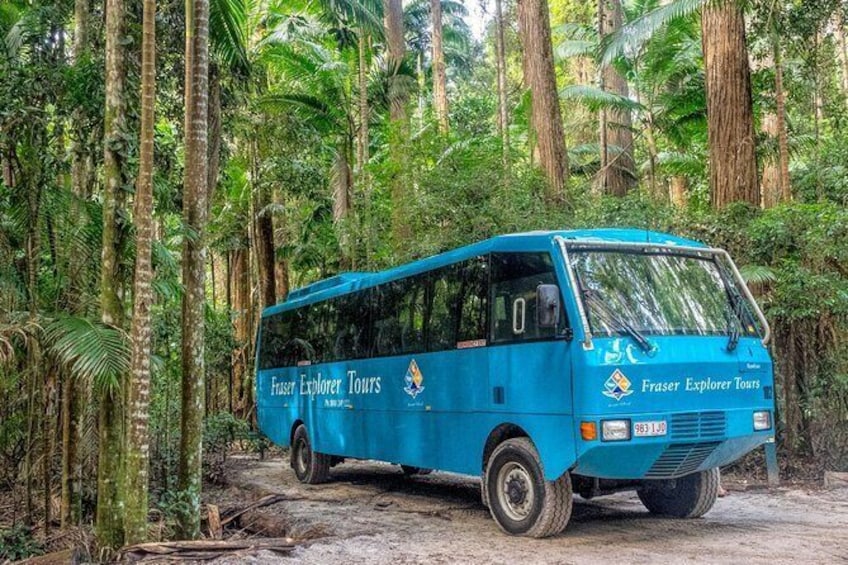 All-Inclusive Fraser Island Day Tour