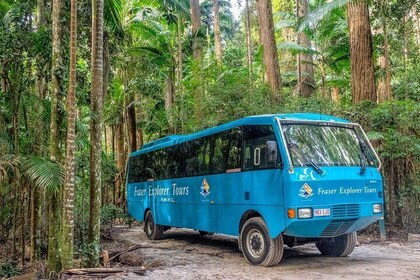 All-Inclusive Fraser Island Day Tour