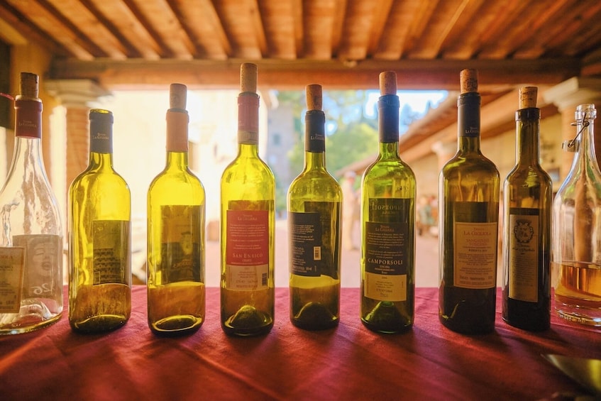VIP Tour: Wine Tasting & Dinner in the Vineyards of Chianti