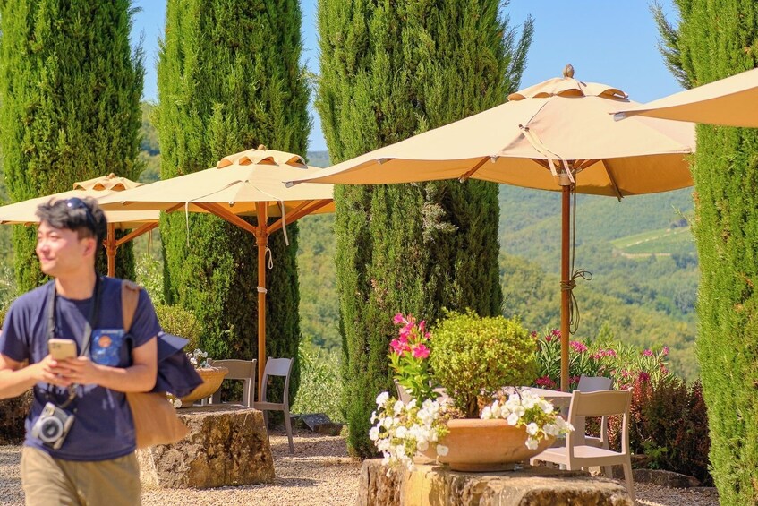 VIP Tour: Wine Tasting & Dinner in the Vineyards of Chianti