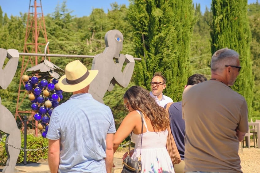 VIP Tour: Wine Tasting & Dinner in the Vineyards of Chianti