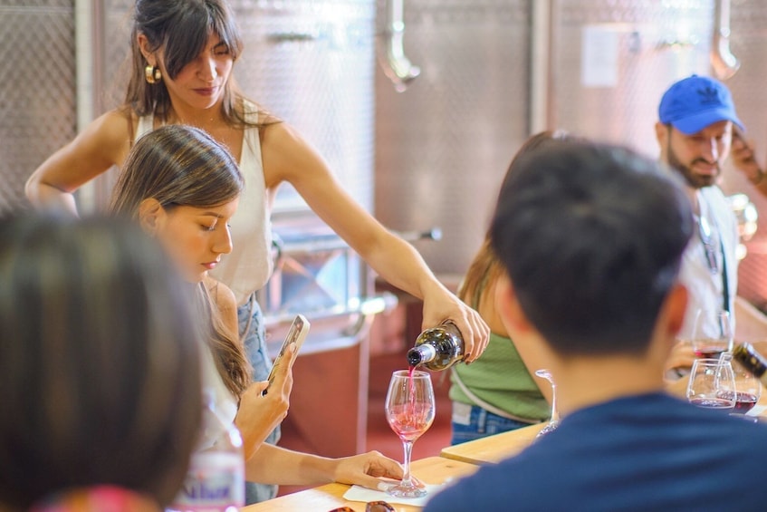 VIP Tour: Wine Tasting & Dinner in the Vineyards of Chianti
