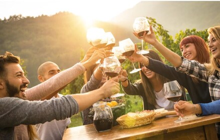 Visita VIP: degustación de vinos y cena en los viñedos del Chianti