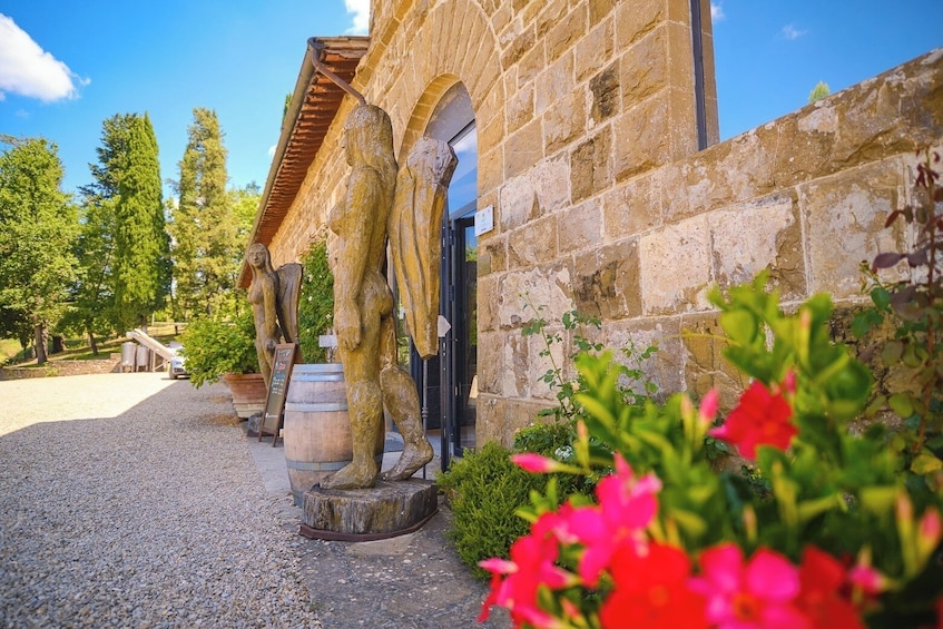 VIP Tour: Wine Tasting & Dinner in the Vineyards of Chianti