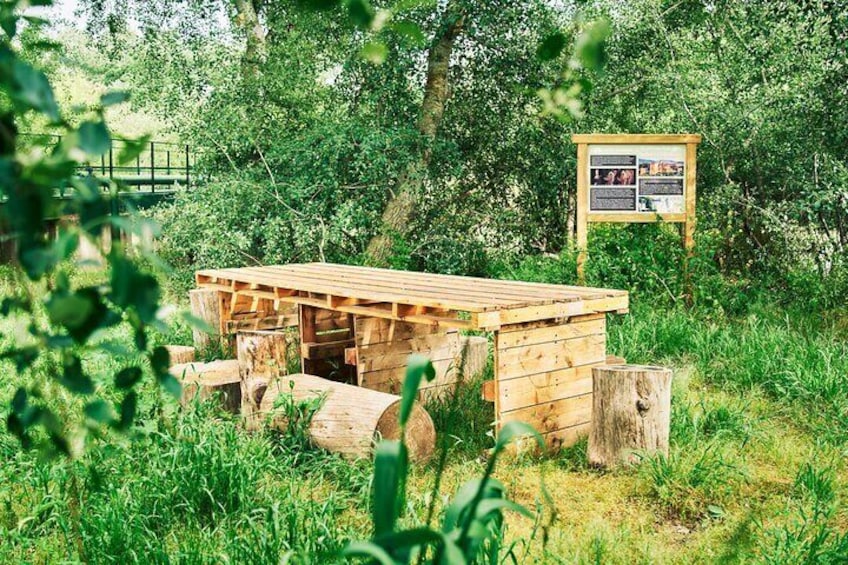 Oil tourism with the 5 senses