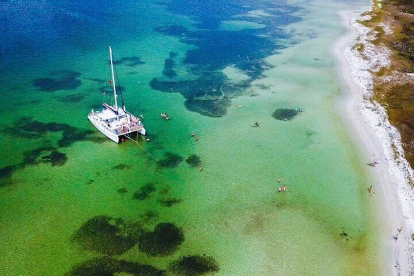 Shell Island Snorkel and Dolphin Catamaran Cruise with Island Time