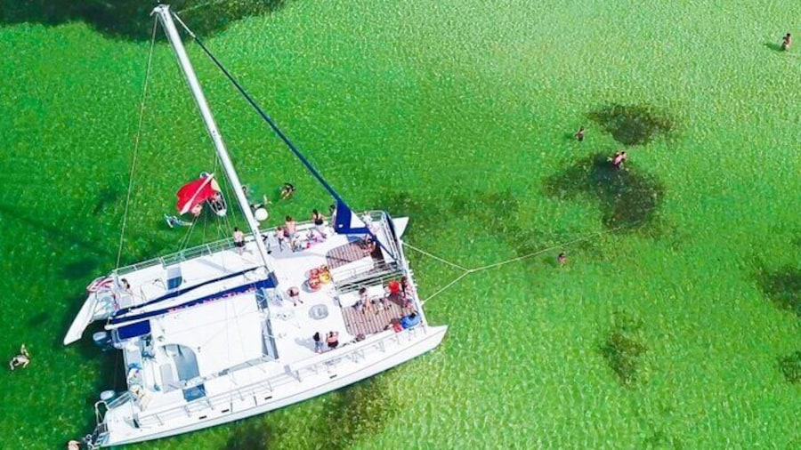 Shell Island Snorkel and Dolphin Catamaran Cruise with Island Time