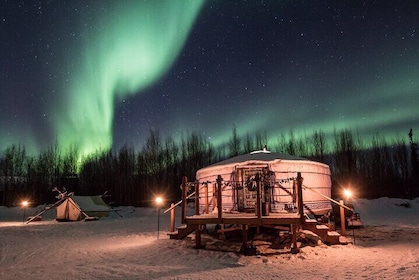 Alaskan Escape: Aurora Viewing & hundspannsäventyr Fairbanks