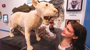 Ripley's Believe It or Not! Odditorium Admission