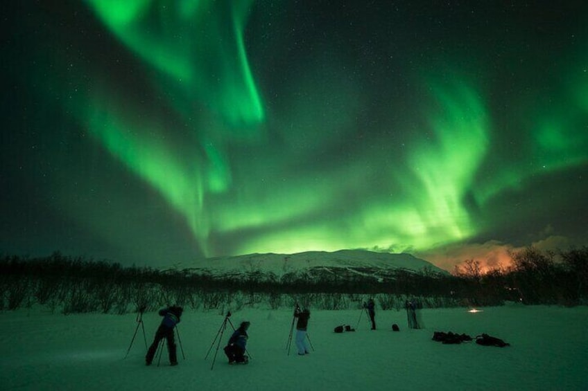 Small-Group Aurora Photo Adventure in Abisko National Park