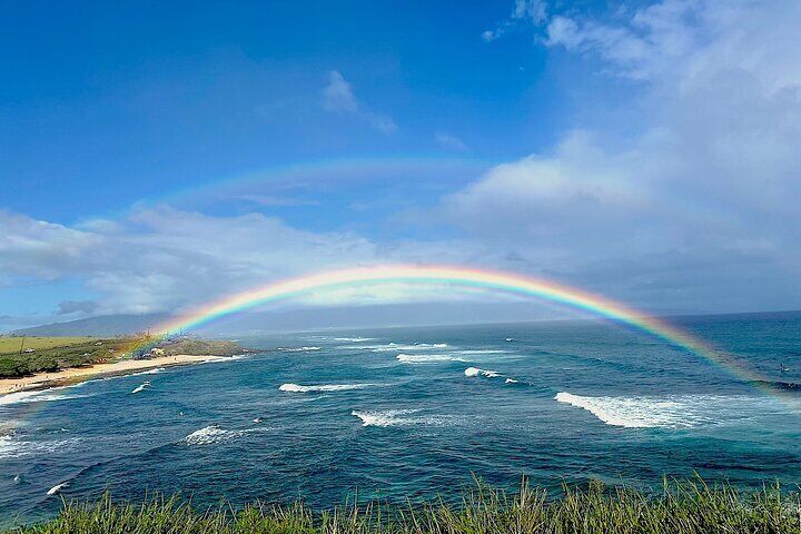 Rainforest Tour to Hana and Beyond
