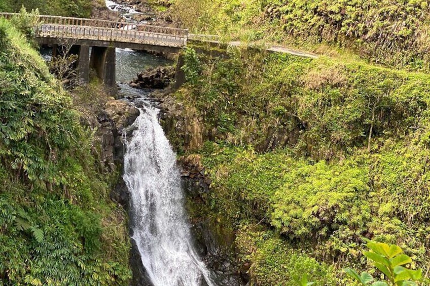 To Hāna and Beyond - Full Circle Rainforest Tour.