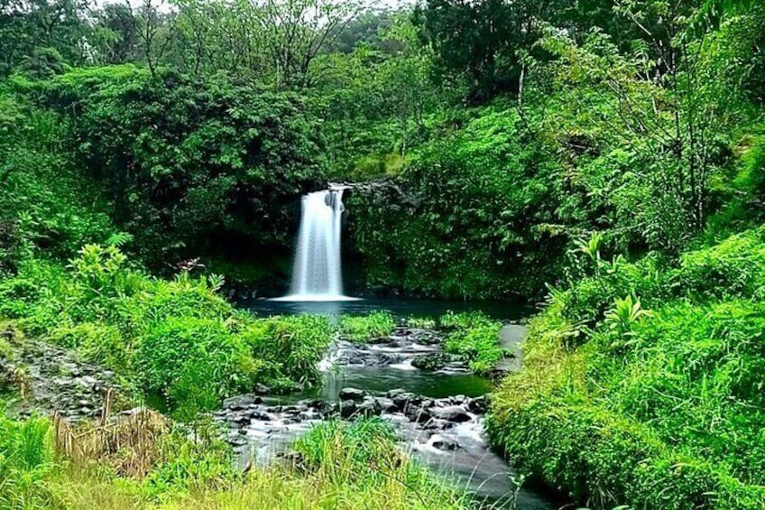 Swim in a freshwater pond and under a waterfall