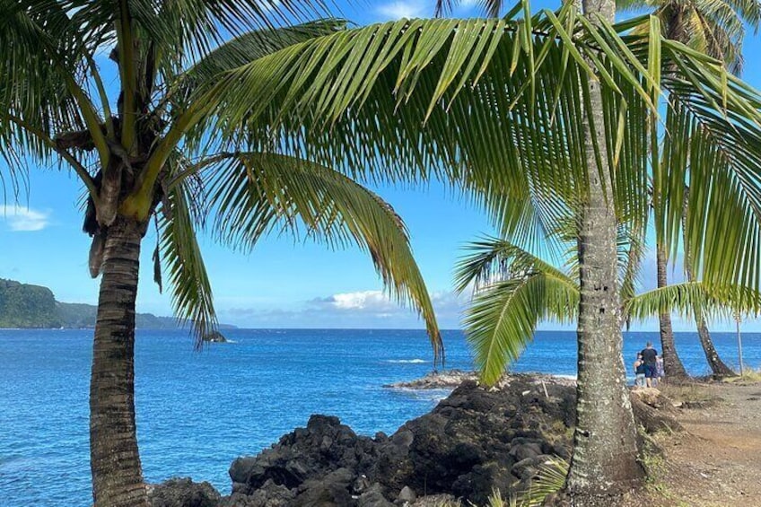 To Hāna and Beyond - Full Circle Rainforest Tour.