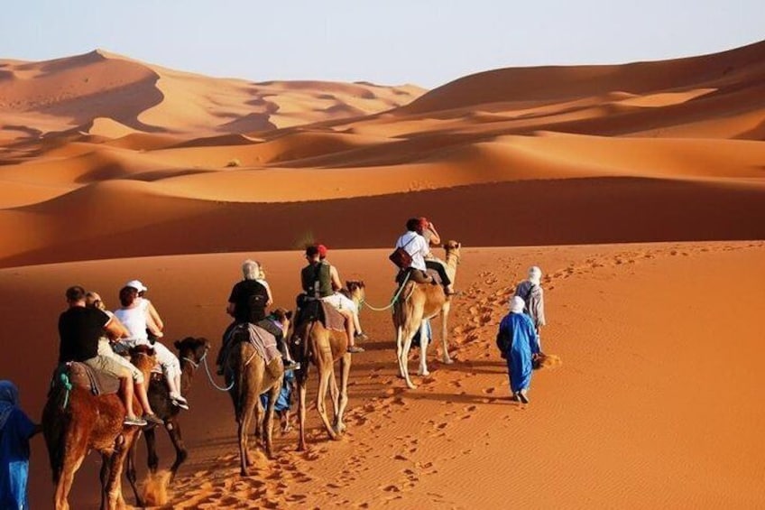 Private or Shared Transfer to Merzouga from Fes Vice - Versa