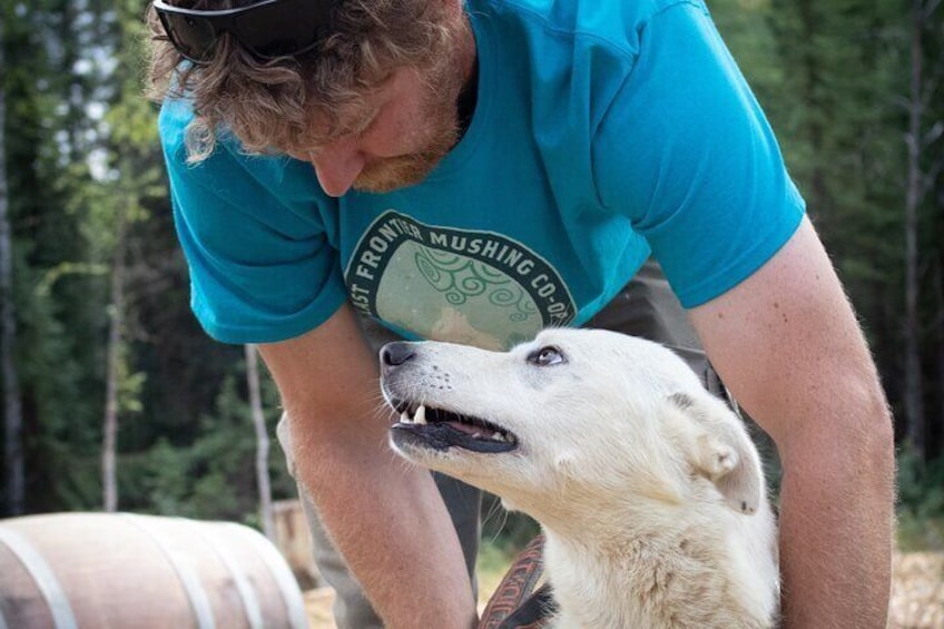Alaskan Husky Kennel Tour & Summer Mushing Cart Ride