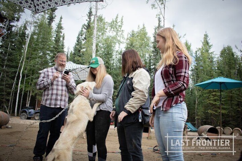 Alaskan Husky Kennel Tour & Summer Mushing Cart Ride