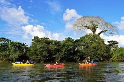 2-Day Kayaking Adventure in the Amazon