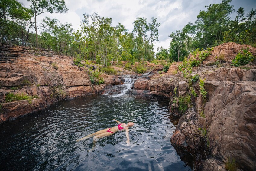 Litchfield National Park from Darwin Top End Day Trip