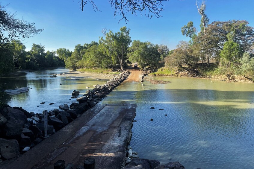 Kakadu Wildlife Rock Art with optional Crocodile Cruise Small Group Tour