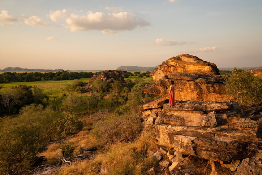 Kakadu Wildlife Rock Art Tour with optional Crocodile Cruise