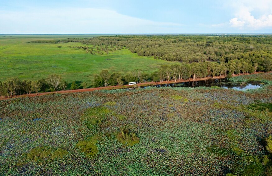 Kakadu Wildlife Rock Art with optional Crocodile Cruise Small Group Tour