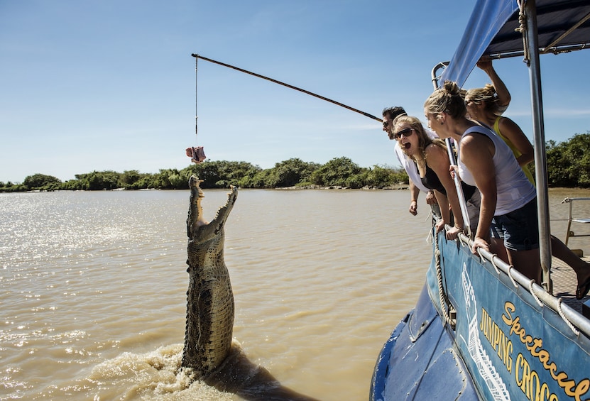 Litchfield Waterfalls Tour with optional Crocodile Cruise