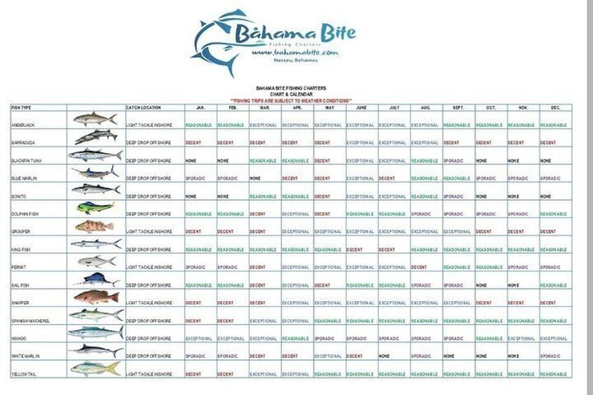 Bahama Bite Fishing Charters Calendar